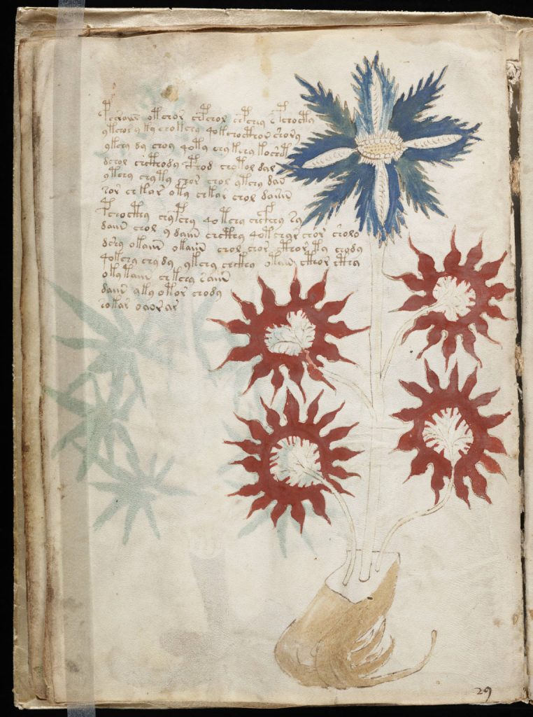 page, Voynich manuscript, animation, book, manuscript, mysery